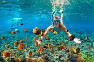 Concert Therapy Breathtaking Barbados Snorkeling Experience